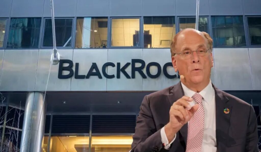 Black Rock Net Worth